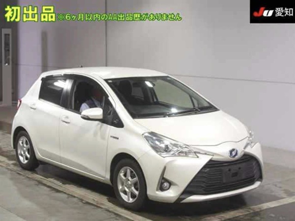 t0082-Vitz-Jewela-2017