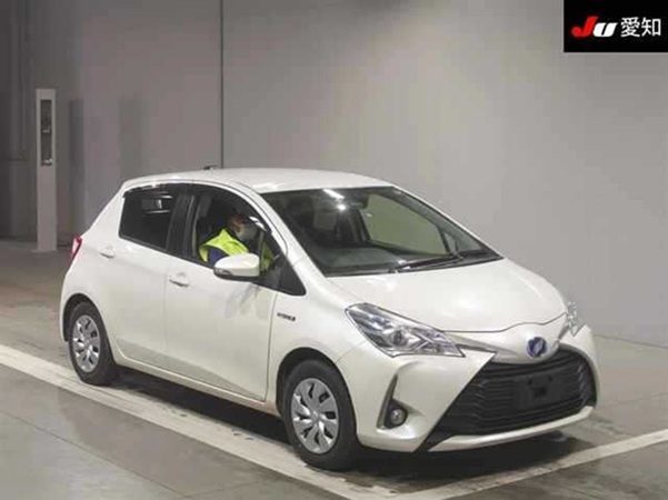 t0069-vitz-2018